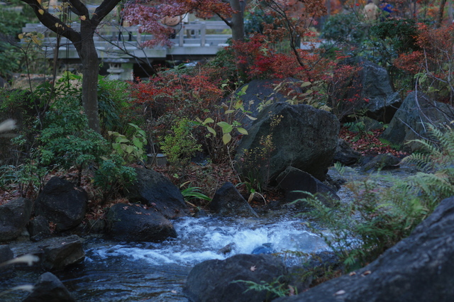 5D3_0062_2048x1365.jpg