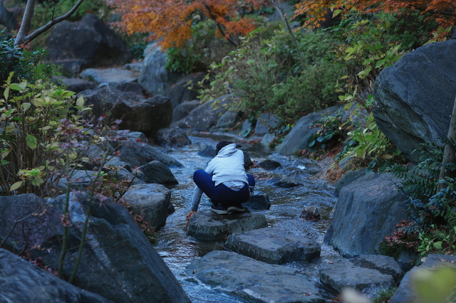 5D3_0072_2048x1365.jpg