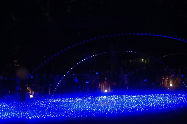 5D3_0110_2048x1365.jpg