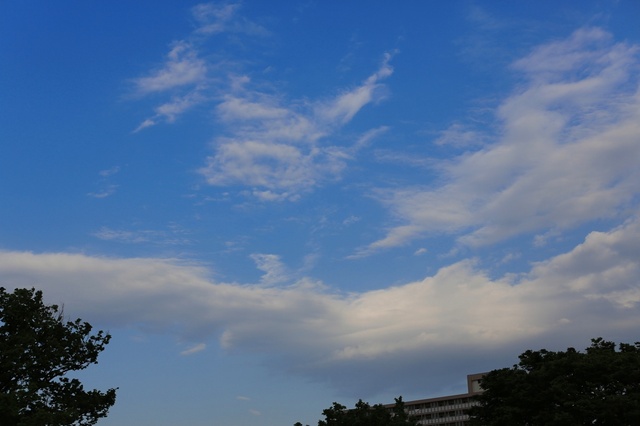5D3_0198_2048x1365_補正済.jpg