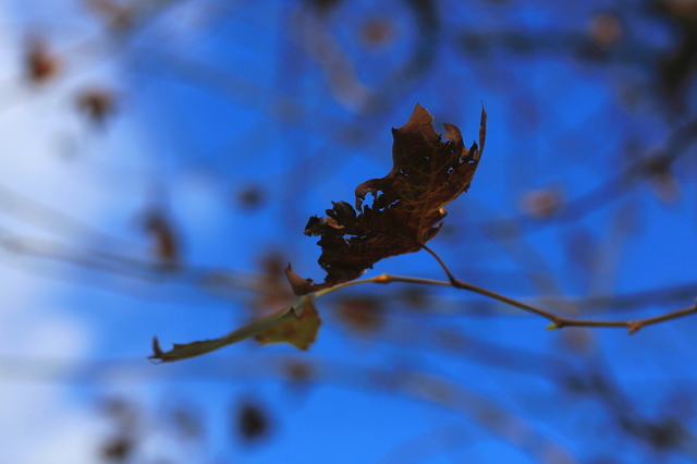 5D3_0281_2048x1365_補正済.jpg
