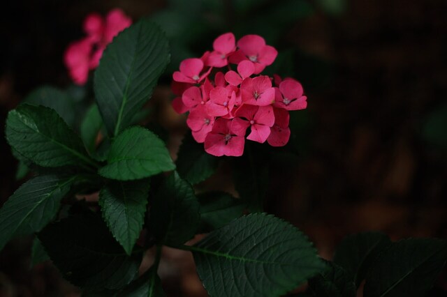 5D3_0410_2048x1365_2.jpg