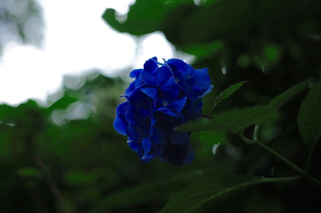 5D3_0414_2048x1365_2.jpg