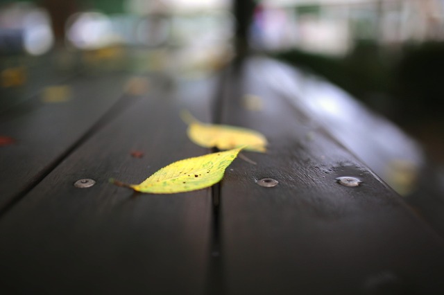 5D3_0904_2048x1365_補正済.jpg