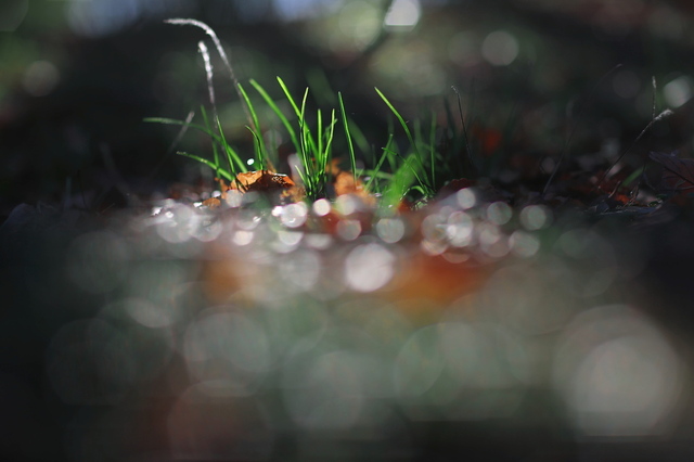 5D3_1297_2048x1365_補正済.jpg