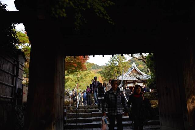 5D3_1415_2048x1365_補正済.jpg