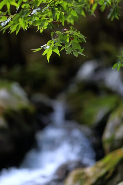 5D3_1768_2048x1365_補正済.jpg