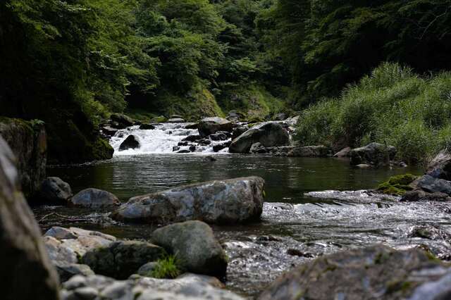 5D3_1771_2048x1365_補正済.jpg