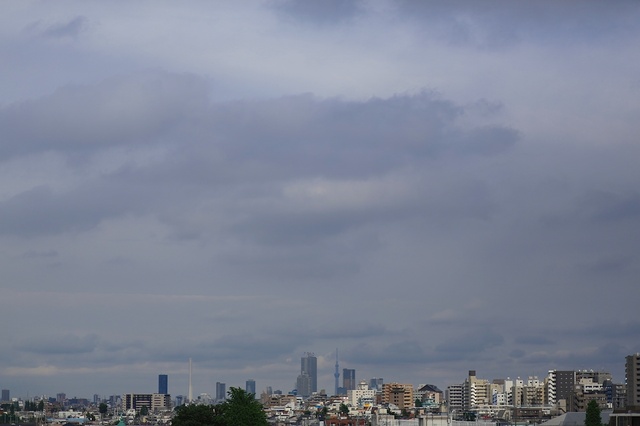 5D3_1916_2048x1365_補正済.jpg
