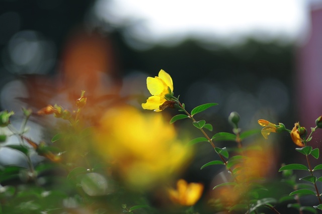 5D3_1928_2048x1365_補正済.jpg