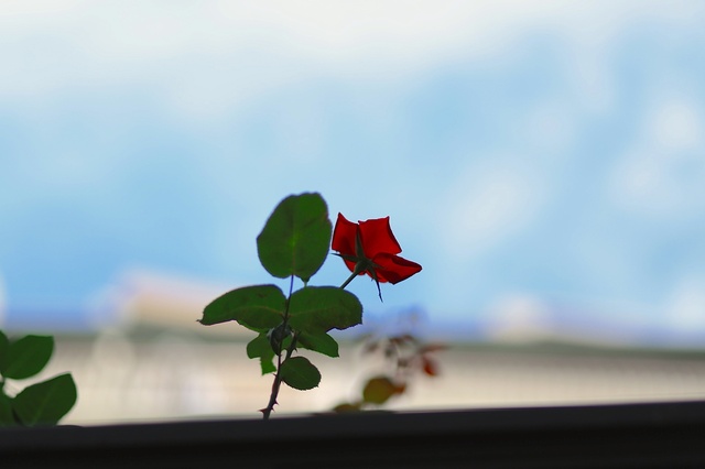 5D3_1941_2048x1365_補正済.jpg