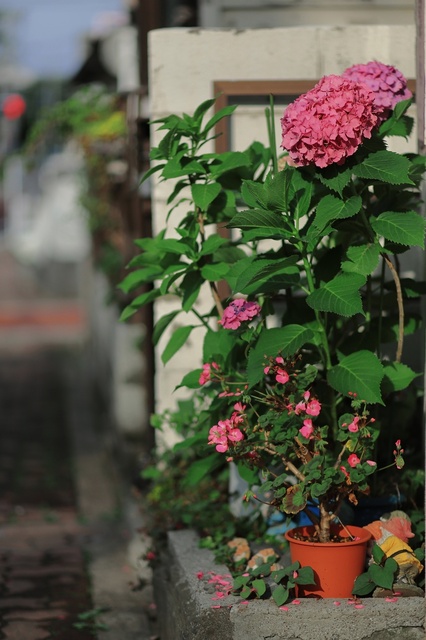 5D3_1951_2048x1365_補正済.jpg