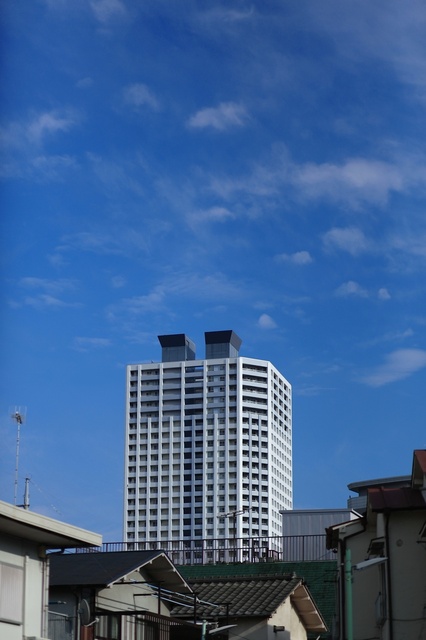 5D3_1955_2048x1365_補正済.jpg