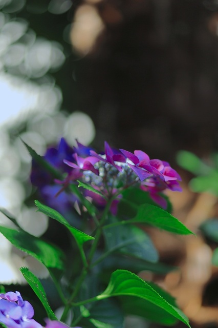 5D3_1958_2048x1365_補正済.jpg