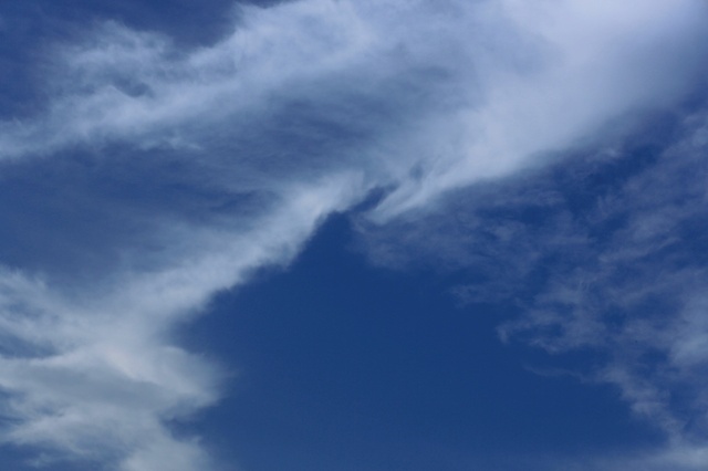5D3_1991_2048x1365_補正済.jpg