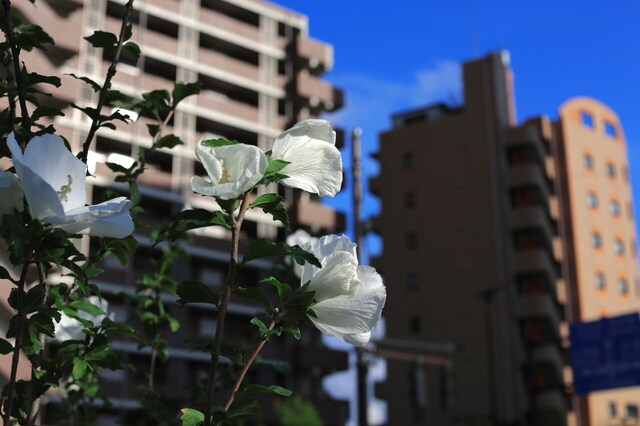 5D3_2022_2048x1365_補正済.jpg