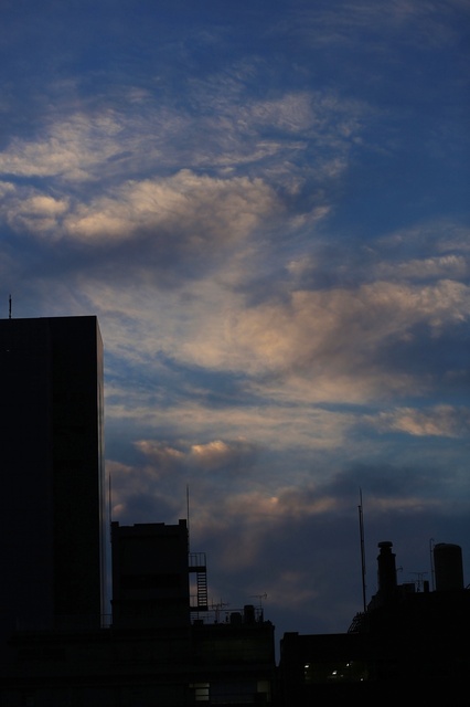 5D3_2040_2048x1365_補正済.jpg
