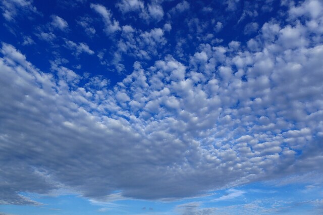 5D3_2043_2048x1365_補正済.jpg