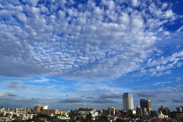 5D3_2044_2048x1365_補正済.jpg