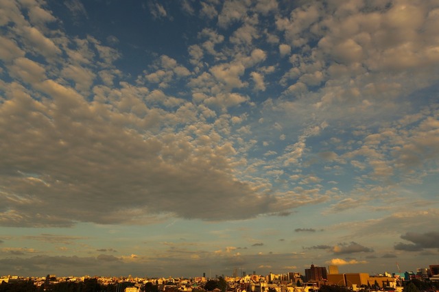 5D3_2069_2048x1365_補正済.jpg