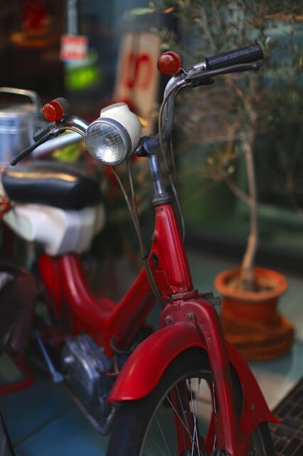 5D3_2103_1280x853_補正済.jpg