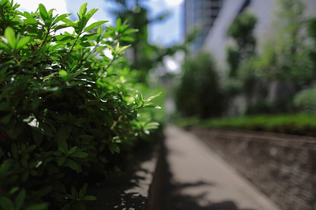5D3_2118_2048x1365_補正済.jpg