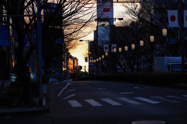 5D3_2127_2048x1365_補正済.jpg