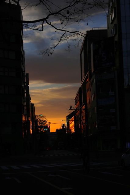 5D3_2129_2048x1365_補正済.jpg