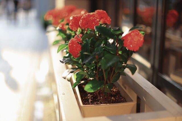5D3_2140_1280x853_補正済.jpg