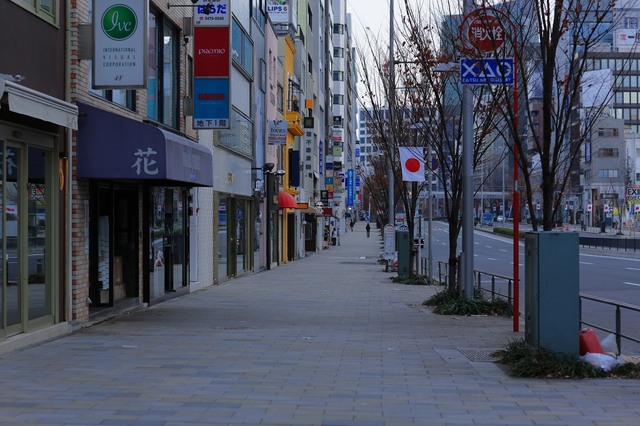 5D3_2152_2048x1365_補正済.jpg