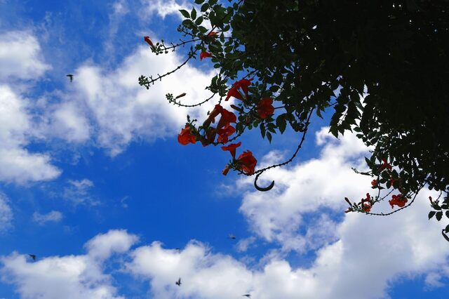 5D3_2155_2048x1365_補正済.jpg