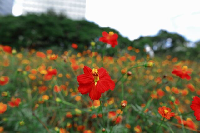 5D3_2158_2048x1365_補正済.jpg
