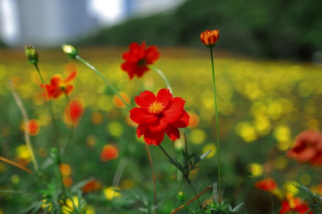 5D3_2164_2048x1365_補正済.jpg