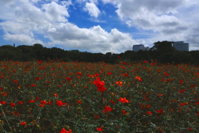5D3_2178_2048x1365_補正済.jpg