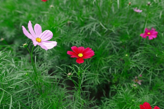 5D3_2182_2048x1365_補正済.jpg