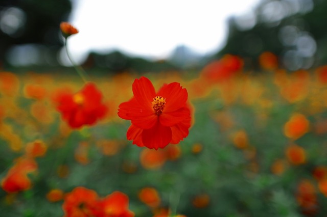 5D3_2187_2048x1365_補正済.jpg