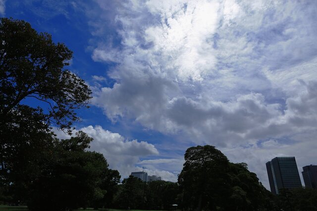 5D3_2195_2048x1365_補正済.jpg