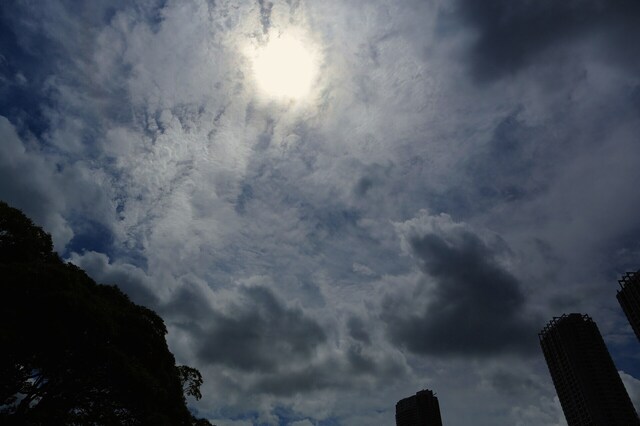5D3_2197_2048x1365_補正済.jpg