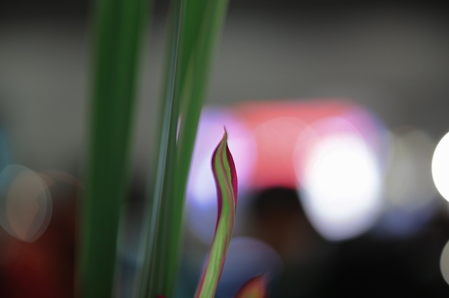 5D3_2466_2048x1365_補正済.jpg
