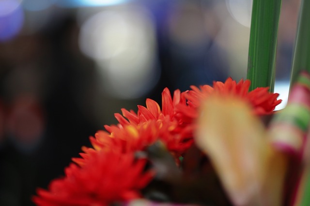 5D3_2468_2048x1365_補正済.jpg