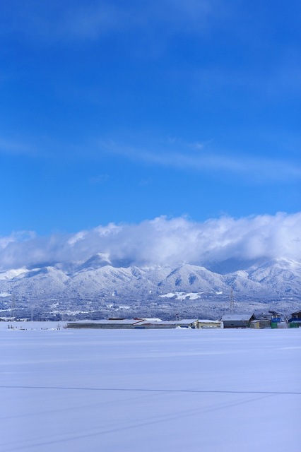 5D3_2716_2048x1365_補正済.jpg