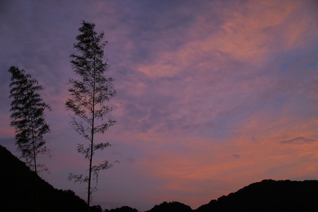 5D3_2846_2048x1365_補正済.jpg