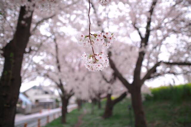 5D3_3176_2048x1365_補正済.jpg
