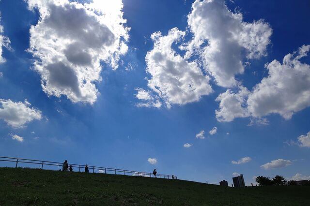 5D3_3231_2048x1365_補正済.jpg