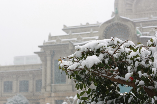 5D3_3336_2048x1365_補正済.jpg