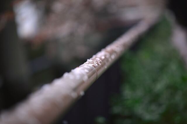 5D3_3410_2048x1365_補正済.jpg
