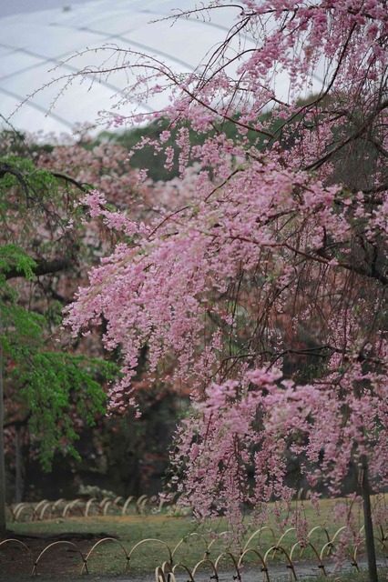 5D3_3530_2048x1365_補正済.jpg