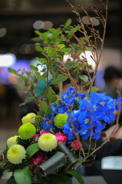 5D3_3876_2048x1365_補正済.jpg