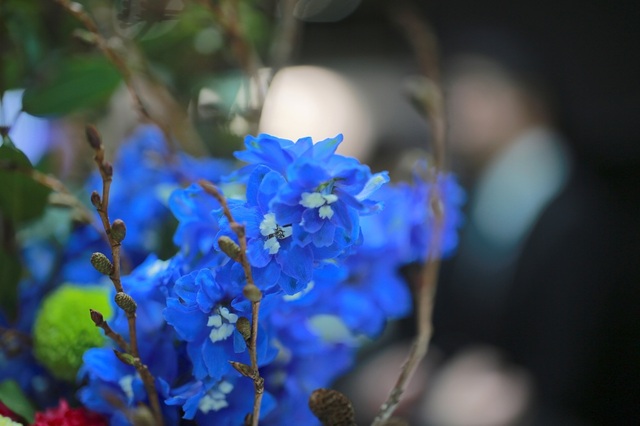 5D3_3880_2048x1365_補正済.jpg