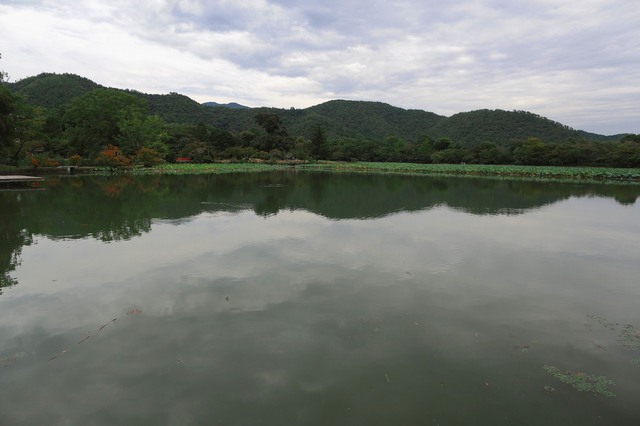 5D3_3956_2048x1365_補正済.jpg